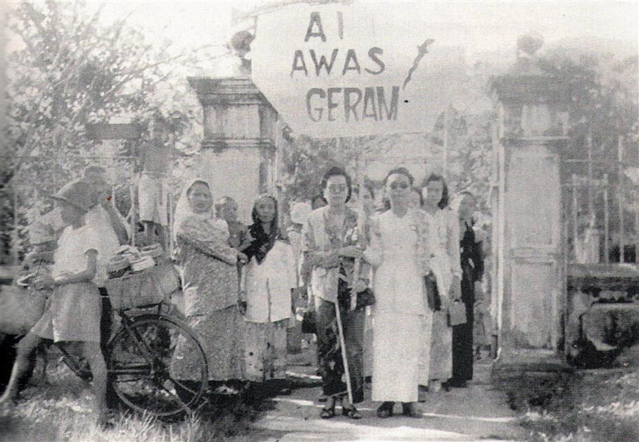 Malay Pioneers Series Women in Action